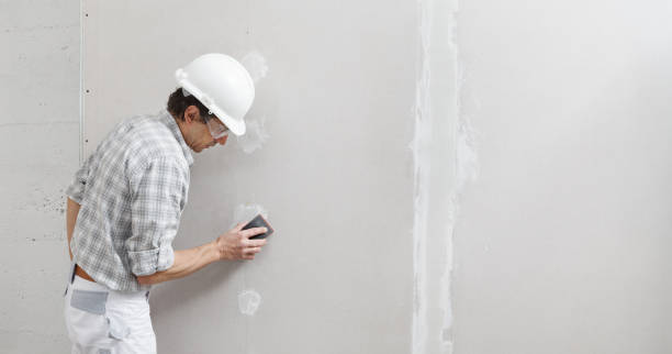 Best Basement Mold Removal  in Elk Ridge, UT