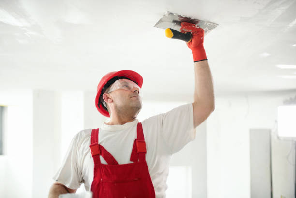 Elk Ridge, UT Mold Removal Company