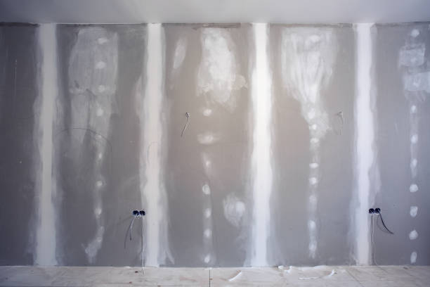 Best Attic Mold Removal  in Elk Ridge, UT